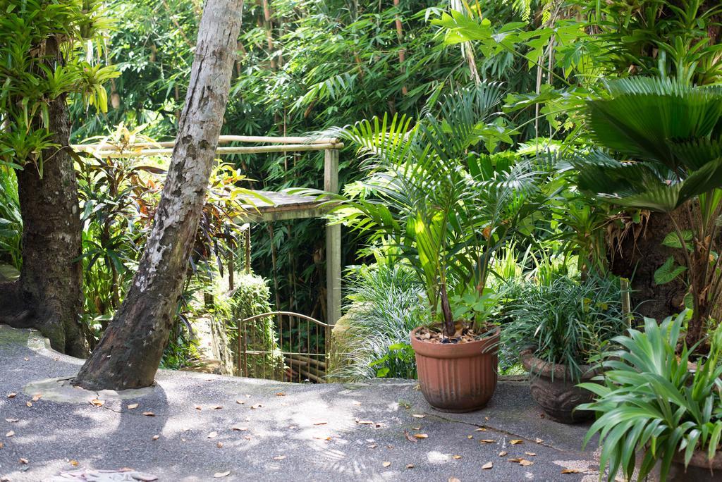 Serenity House Hotel Ubud Eksteriør billede
