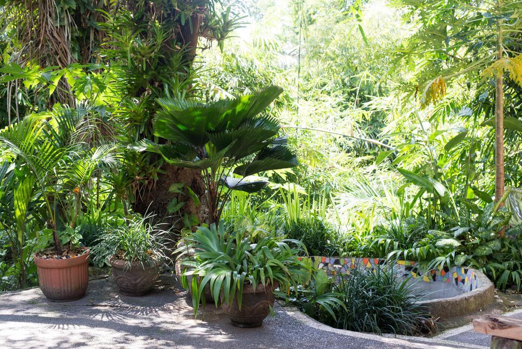 Serenity House Hotel Ubud Eksteriør billede